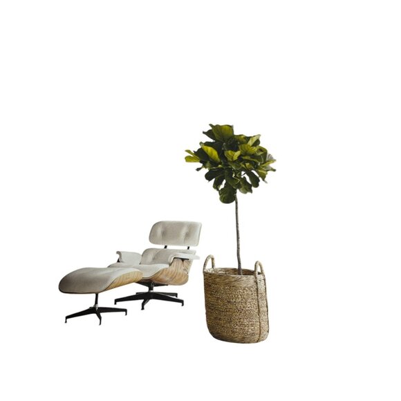 Joanna Gaines "Homebody" Hardcover Book First Edition No Dust Cover - Picture 9 of 13